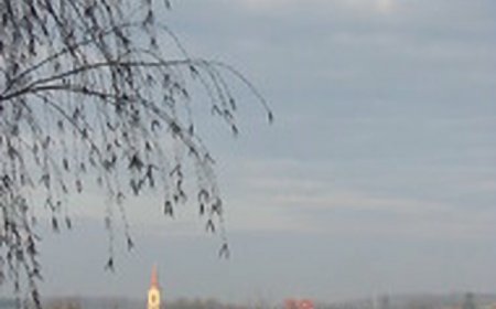 Fűzfa Vendégház Nagyberény