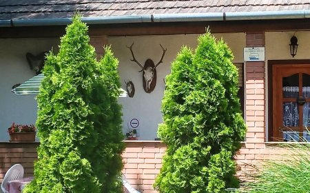 Vadász Vendégház Nagybörzsöny