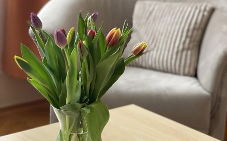 CentROOM Nagykanizsa