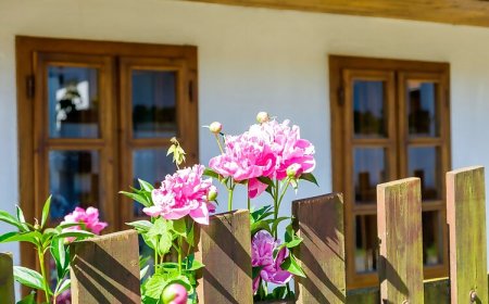 Lóci Palócház Vendégház Nagylóc