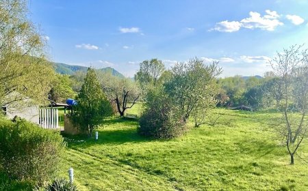 Zöld Paradicsom Vendégház Nagymaros