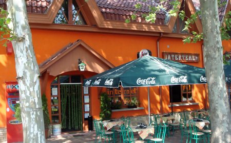 Platán Panzió Nagyszénás