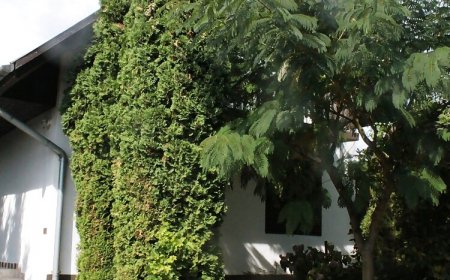 Angéla Nyaralóház Nemesbük