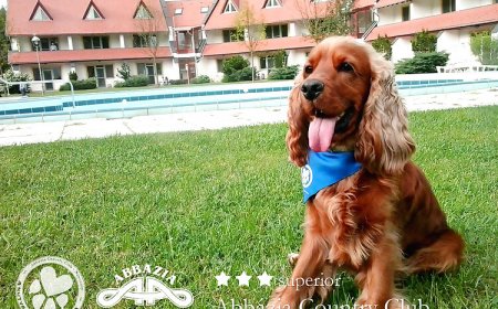 Abbázia Country Club Nemesnép