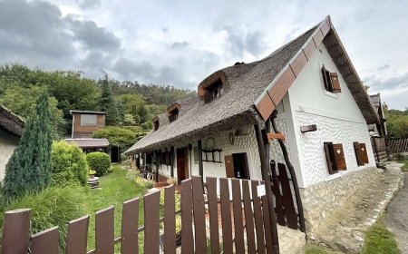 Nádas Vendégház és Wellness Nemesvita