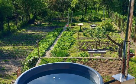 RárósLak Vendégház Ráróspuszta-Nógrádszakál