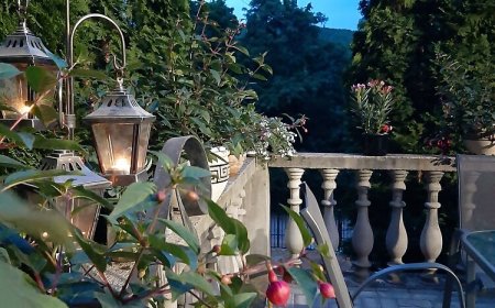 Woollywood Apartments Noszvaj