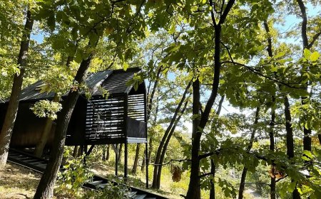 Fekete Rigó Noszvaj