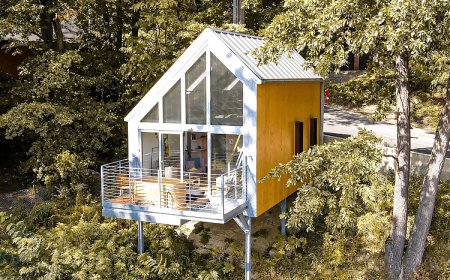 Sárga Rigó Noszvaj