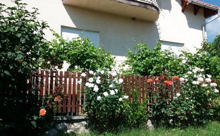 Kerekes Kút Vendégház Noszvaj