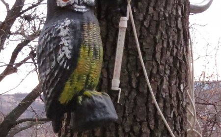 Baglyos Ház Noszvaj