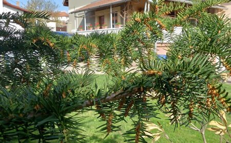 Kata Vendégház Noszvaj