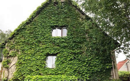 Veranda Apartman Nyíregyháza