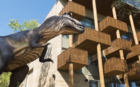 Pangea Hotel Nyíregyháza