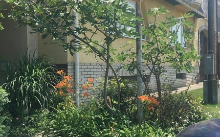 Rózsakert Panzió Nyíregyháza