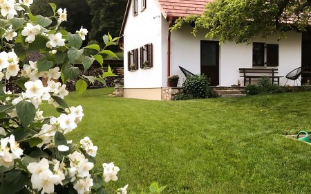 Kistücsök Vendégház Óbánya