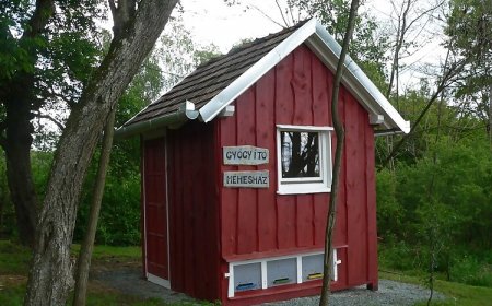 Vadvirág Méhes és Gyógyítókert Apartman Orfalu