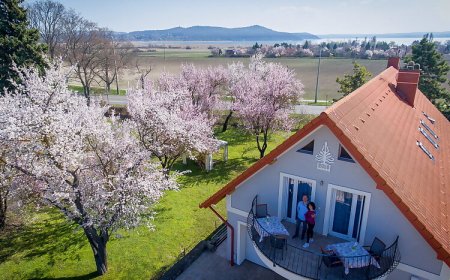 Tulipán Vendégház Örvényes