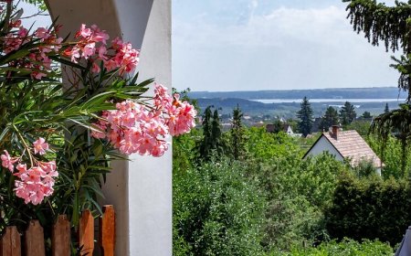 LeAnder Vendégház Pákozd