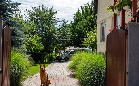 Muskátli Apartman Paks