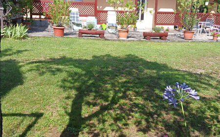 Ulicska Ház Pálháza