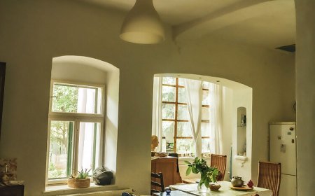 Művész Vendégház Palkonya