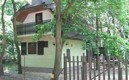 LacBáHáz Balaton Pálköve