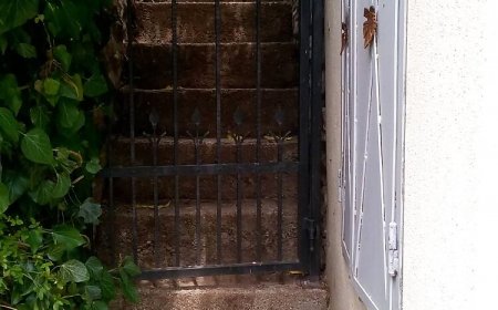 Vadszőlő Apartman Paloznak