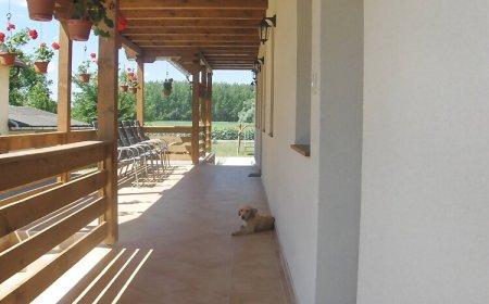 Kékszilva Vendégház Pap