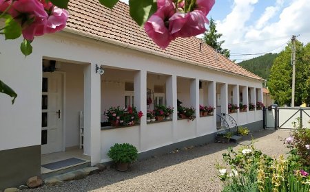 Ribizli Vintage Vendégház Parád