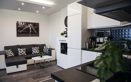 Central Chill Apartman Pécs