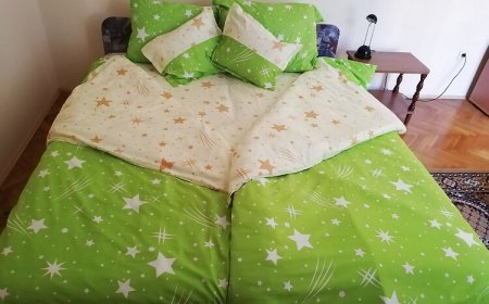 Olympia Apartman Pécs