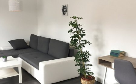 Rozmaring Apartman Pécs
