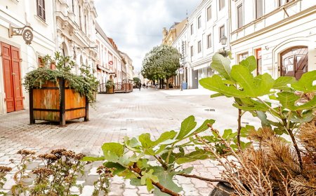 Király 40 Apartman Pécs