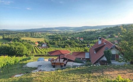 Kikapcsol-lak Pécsely