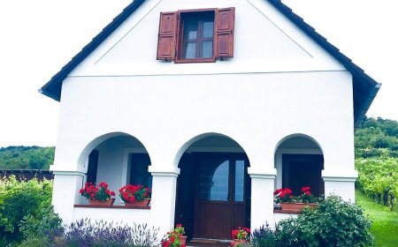 Balaton Felvidéki Fehér Porta Pécsely