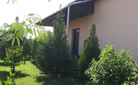 Vándormadár Vendégház Petőfiszállás