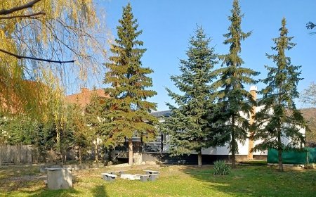 The Other House Piliscsaba