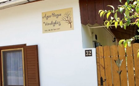 Ágas-Bogas Vendégház Poroszló