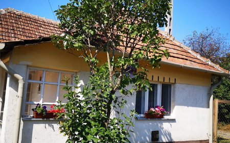 Búzavirág Vendégház Poroszló