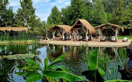 Session Hotel Ráckeve