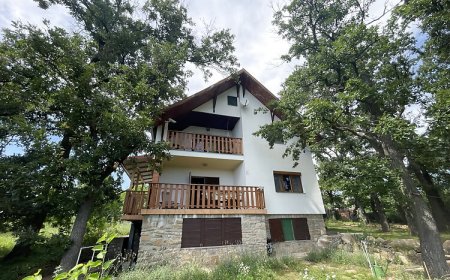Tölgyfaliget és Balaton Vendégház Révfülöp