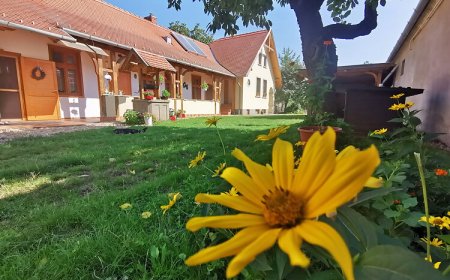 Aromaporta Vendégház Rum