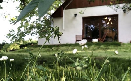 Suttogó Vendégház Ságvár