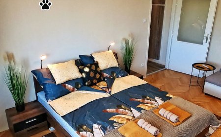 Dex Apartman*** Salgótarján