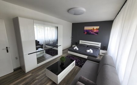 Cosmopolitan Apartman Sárospatak