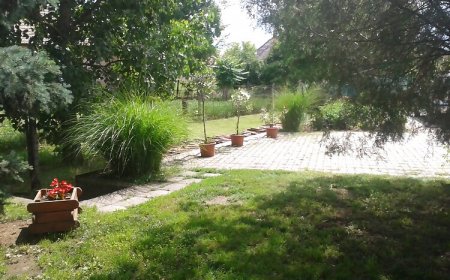 Boróka Apartman Sarud