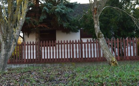 Halászsas PihenőPorta Sarud