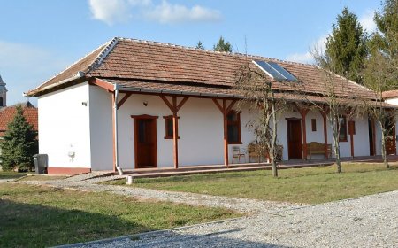 Kis kócsag PihenőPorta Sarud