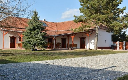 Nagy Kócsag PihenőPorta Sarud
